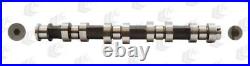 AE Camshaft Cam929 for Opel Suzuki Agila + Corsa C 1995