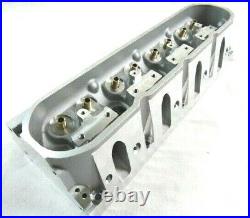 Chevy LS1 LS2 LS6 Cathedral Port Bare Aluminum Cylinder Head 225cc/62cc E42007