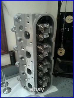 Custom Dart Cnc Ported 250cc Ls1 Ls6 Cathedral Heads (to Any Lift Hyd Or Solid)